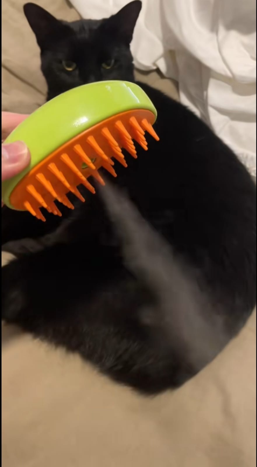 Escova a Vapor para Animais de Estimação